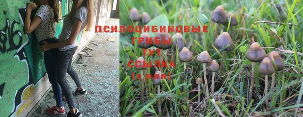 твердый Алексин