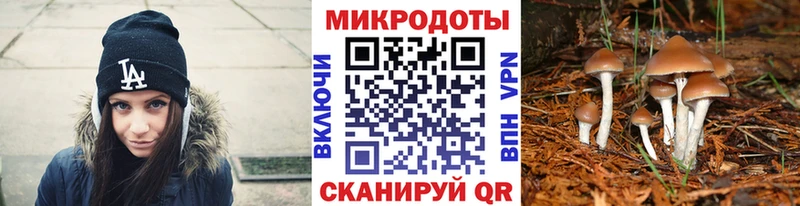 продажа наркотиков  Лобня  Галлюциногенные грибы GOLDEN TEACHER 